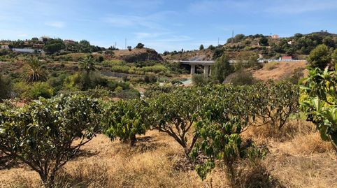 Photo 5 of Country homes for sale in Los Llanos, Estepona