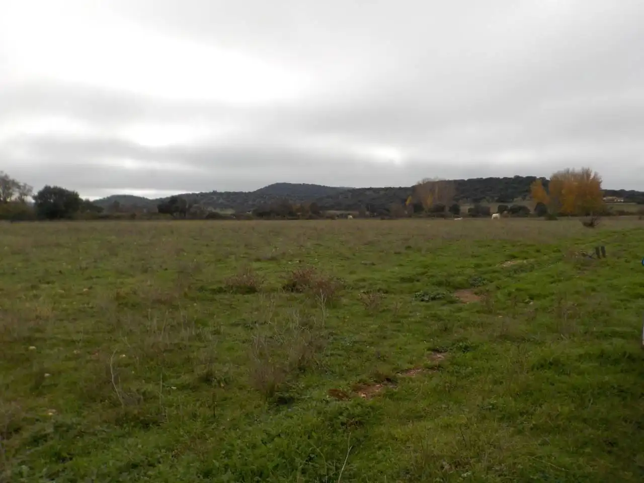 Terreno residenziale in vendita a Poligono 20, imagen 4