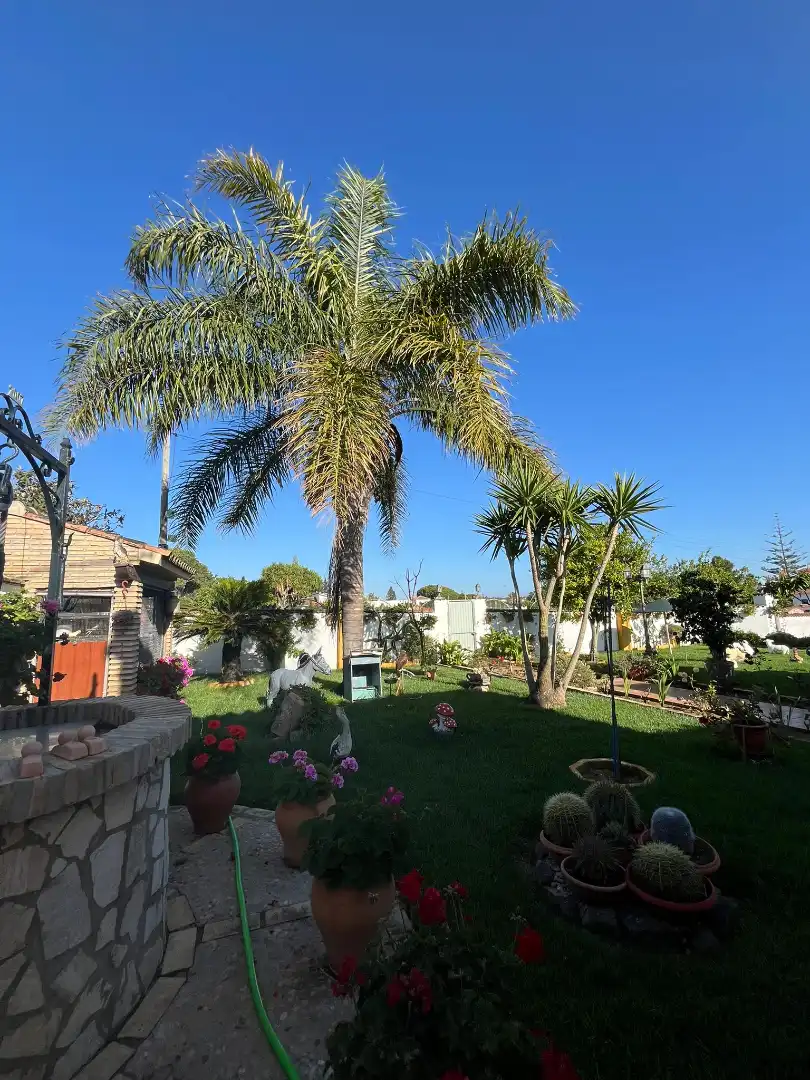 Chalet en venta en Los Franceses – La Vega, imagen 6