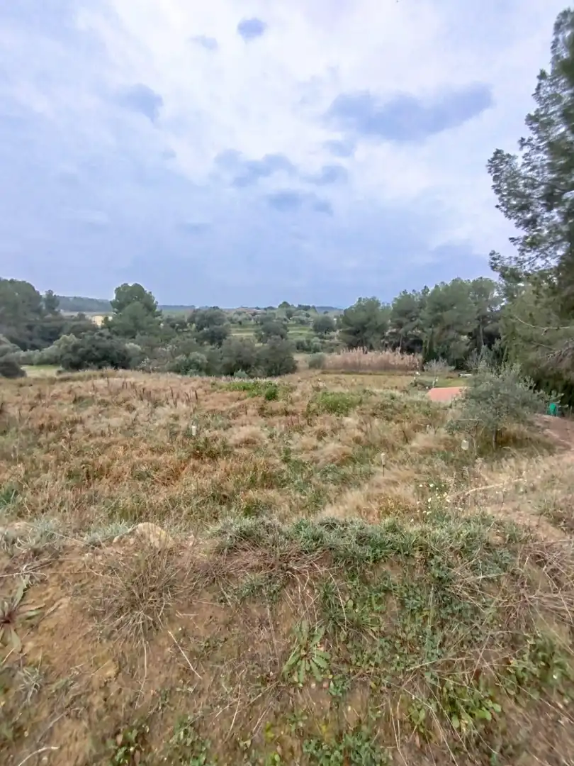 Terrain rustique à vendre à Ginestar, imagen 70