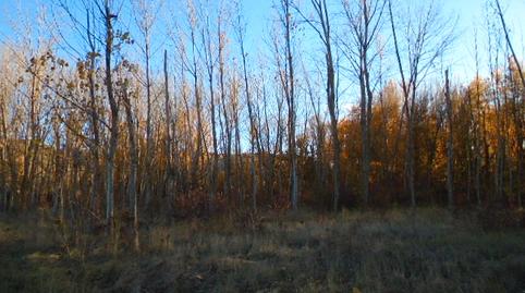 Foto 2 de Terreno en venta en Paseo del Iregua, Albelda de Iregua, La Rioja
