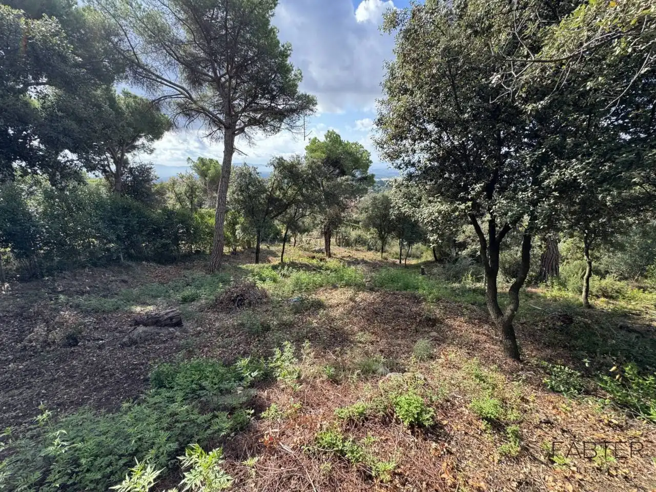 Rustikales Grundstück zum Verkauf in Avenida Castell de Montbui, imagen 6