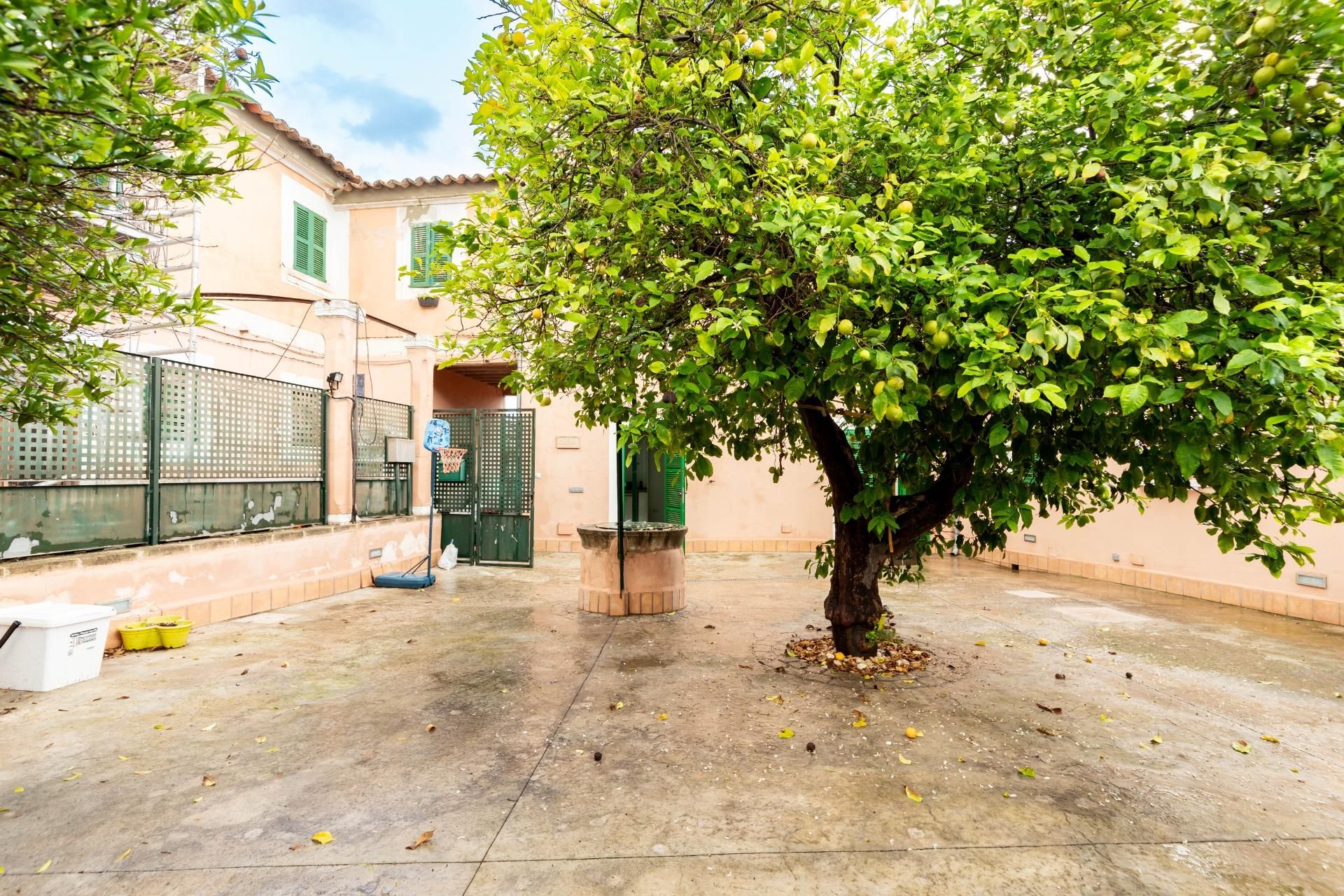 Vista exterior de Casa o xalet en venda en  Palma de Mallorca amb Aire condicionat, Jardí privat i Terrassa