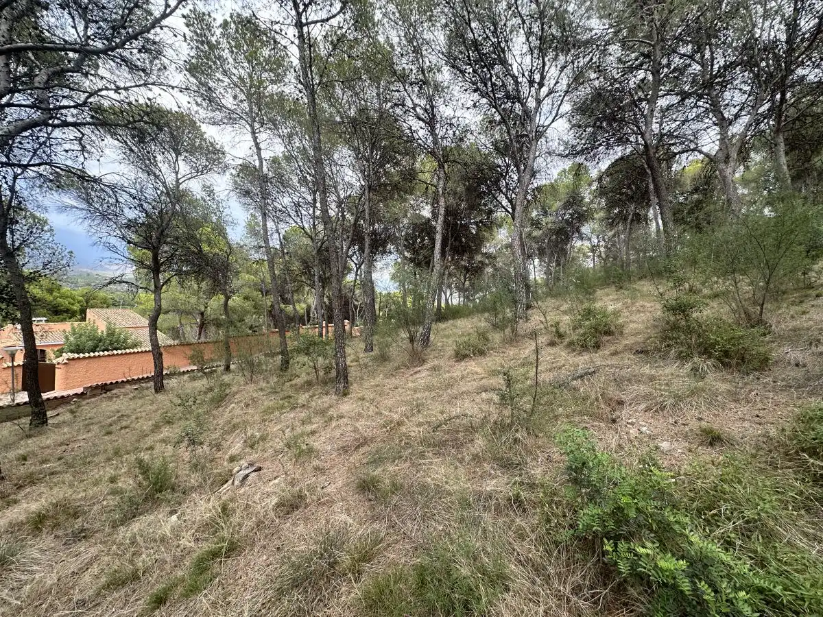 Wohnbaugrundstück zum Verkauf in Torres Torres, imagen 32