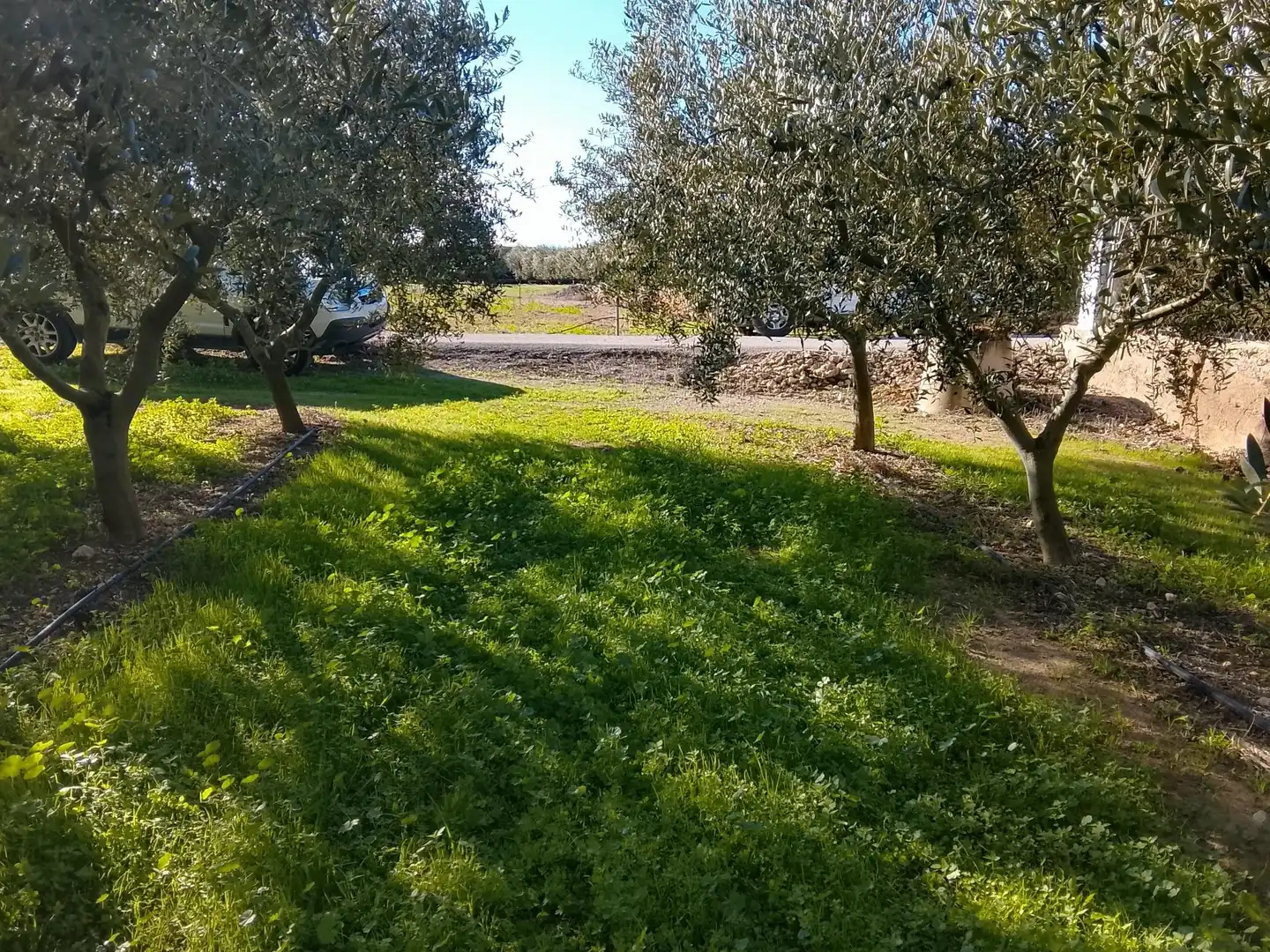 Terreno rustico in vendita a Polígono 7, imagen 6