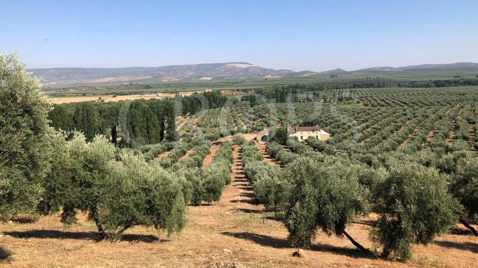 Terreno rustico in vendita a Campo de Murcia, imagen 3