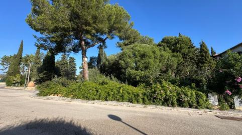 Photo 4 of Land for sale in Bacarés - Manresa  - Bonaire, Illes Balears