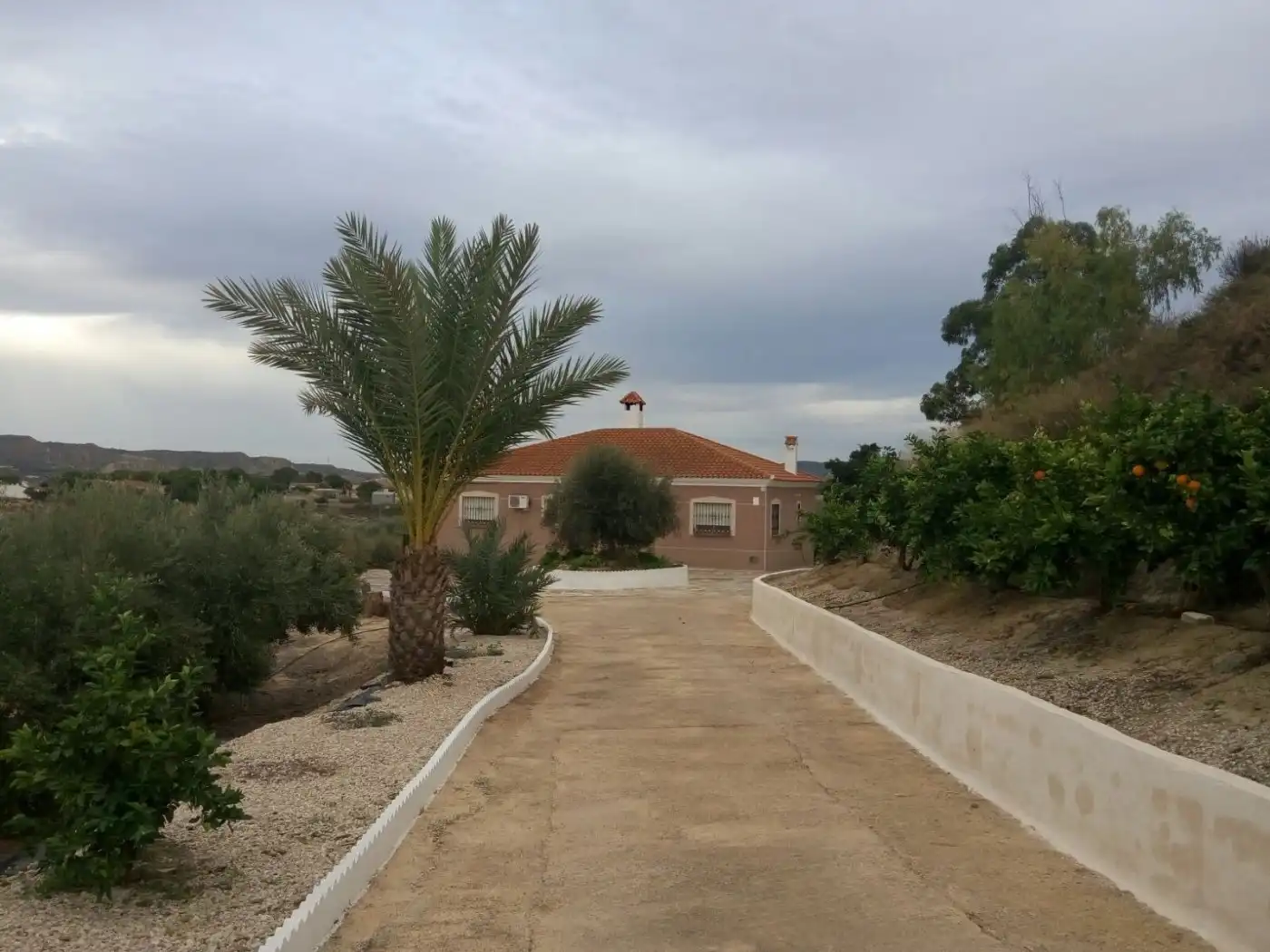 Chalet con piscina en venta en Campo de Murcia