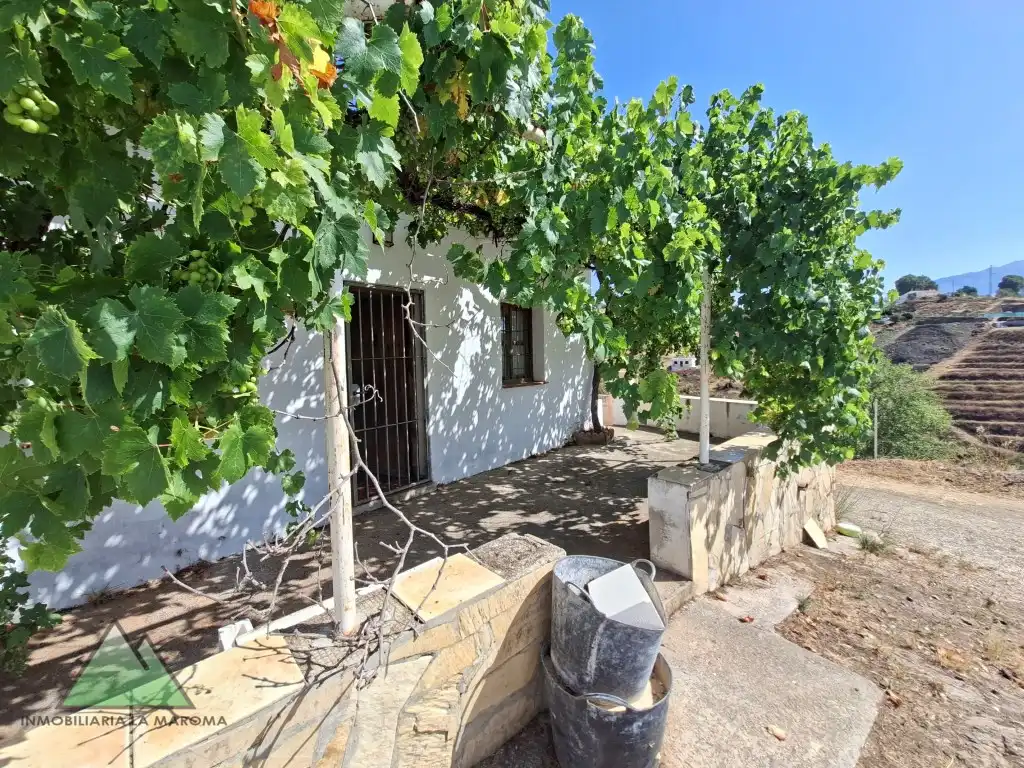 Vista exterior de Finca rústica en venta en Vélez-Málaga con Amueblado