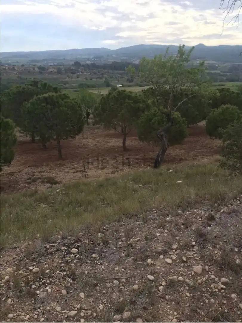 Finca rústica en venda a Carretera de Castellet, 114, L'Arboç