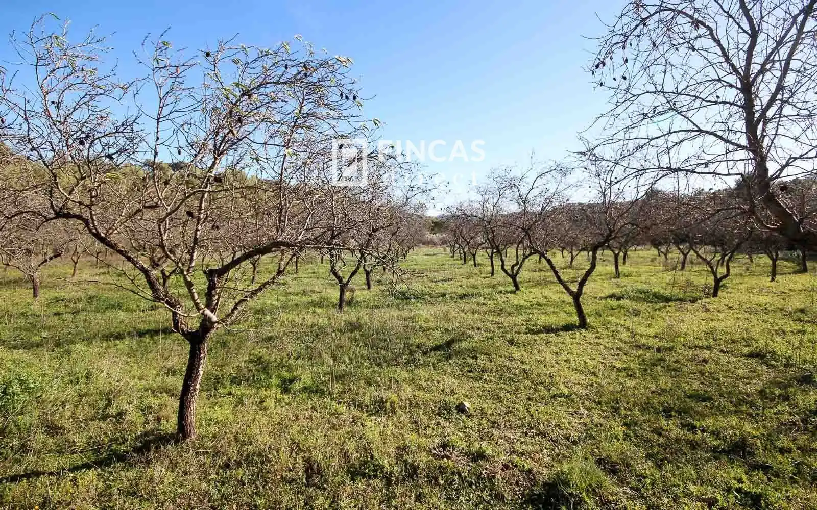 Finca rústica en venta en Miravet