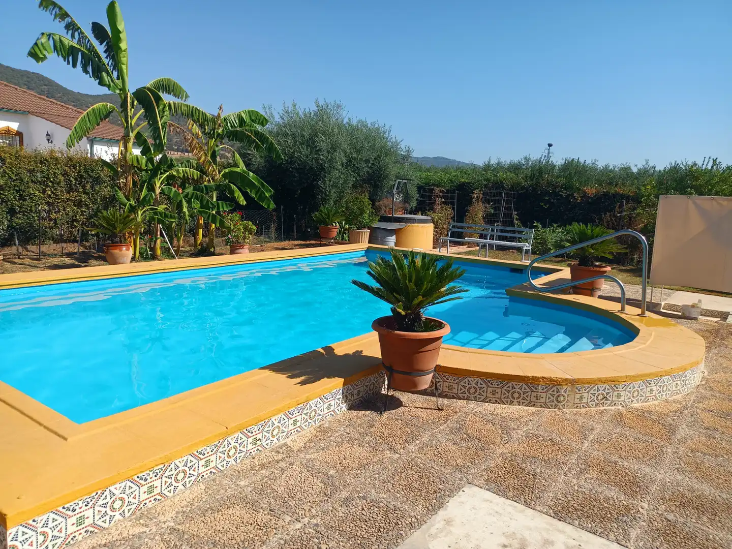 Swimming pool of Houses for sale in Córdoba  with Air Conditioner, Private garden and Swimming Pool