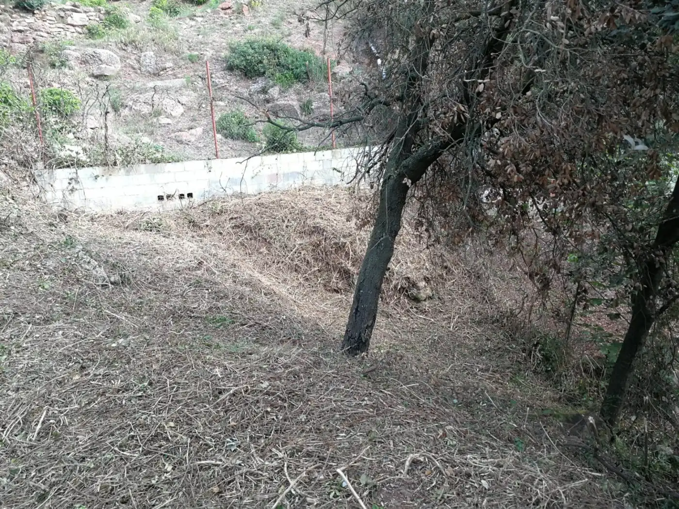 Residential land for sale in Calle Santa Agnes, imagen 7