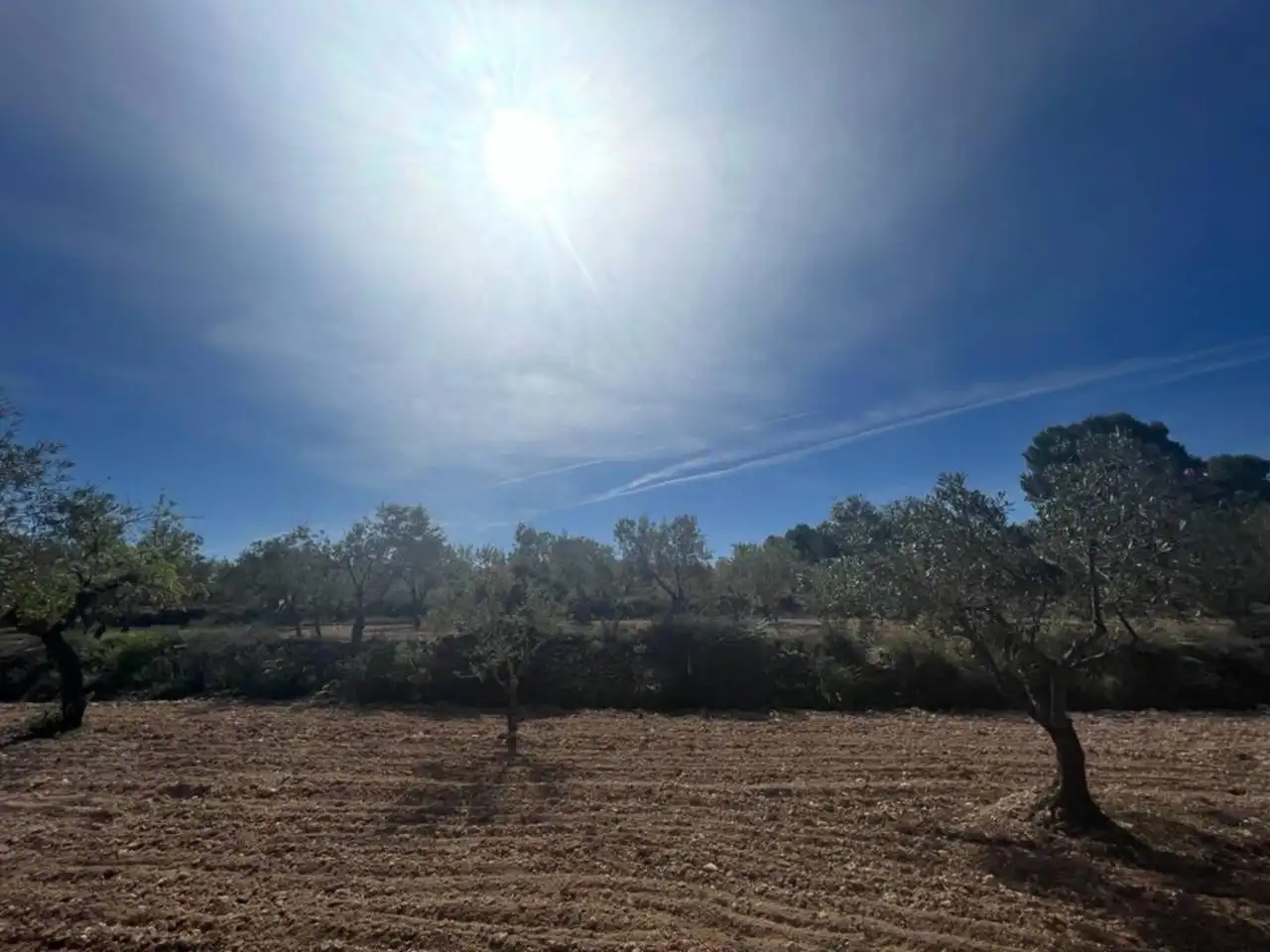 Chalet con jardín en venta en Calle Poligono, imagen 145
