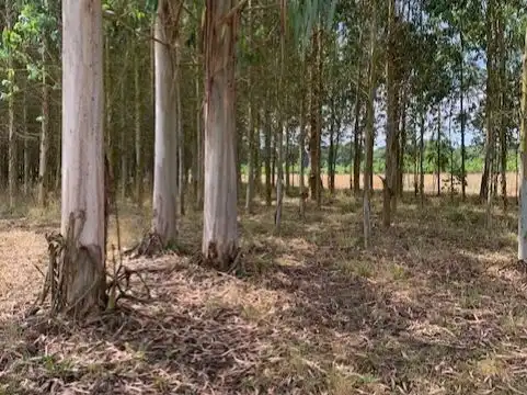 Terreno en venta en Outeiro de Rei