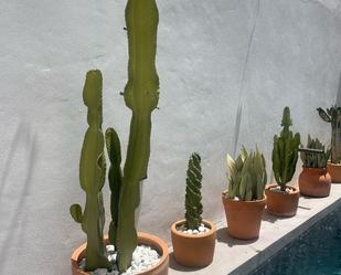 Jardí de Casa adosada en venda en Tarifa amb Jardí privat, Terrassa i Piscina