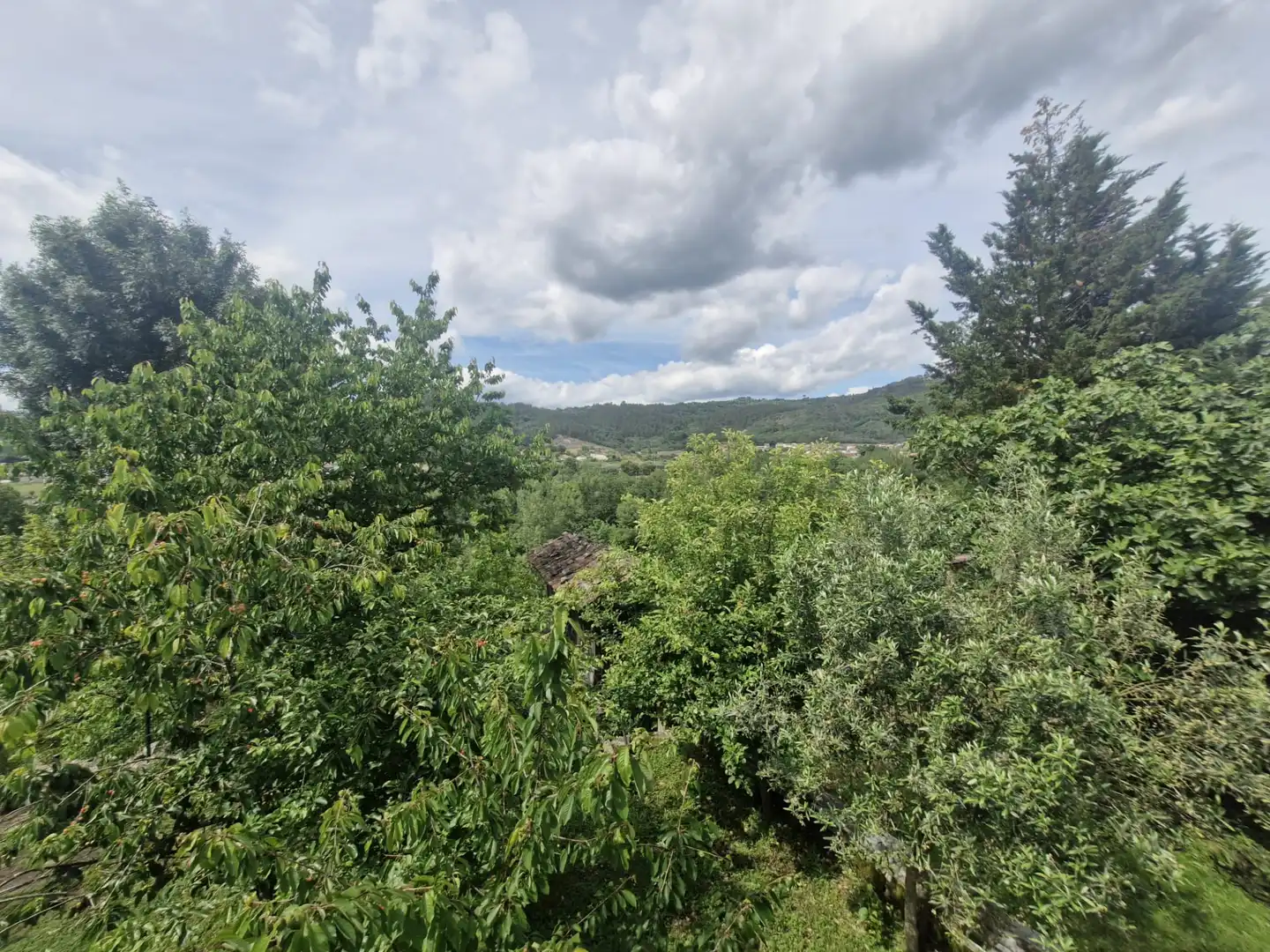 Study for rent in Ourense Capital   with Heating, Parquet flooring and Furnished