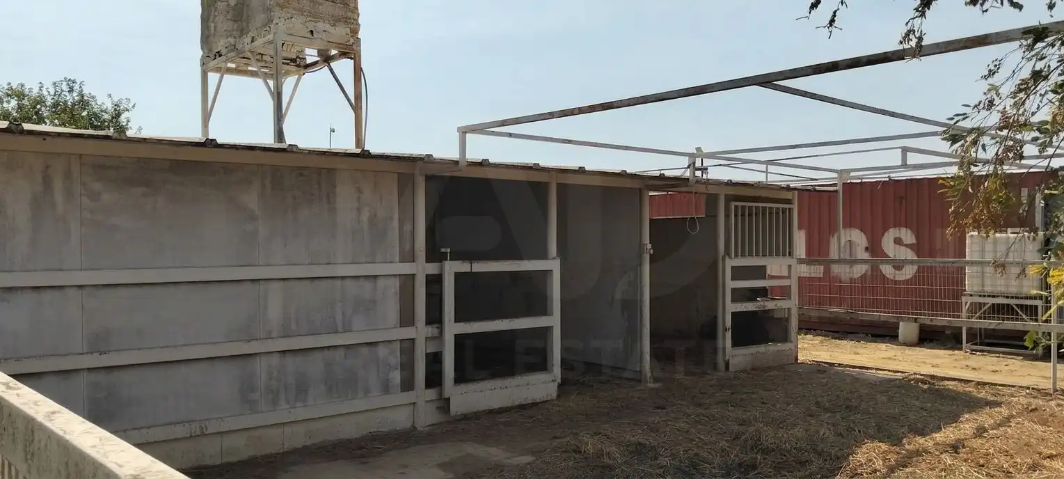 Terreni e lotti in vendita a La Hacienda - Nueva Andalucía, imagen 20