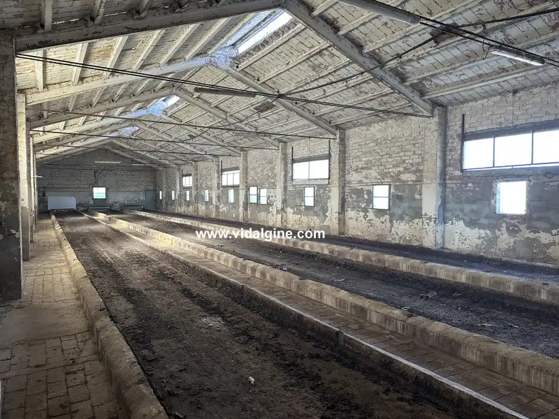 Industrial building for sale in Cami Barceloneta 5B, imagen 4