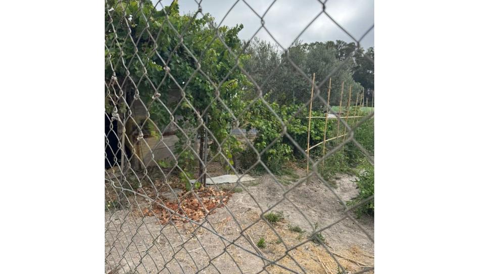 Photo 1 of Land for sale in El Rocío - La Milagrosa, Cádiz