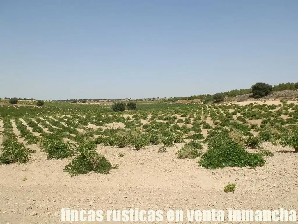Terreni e lotti in vendita a Mota del Cuervo, imagen 2