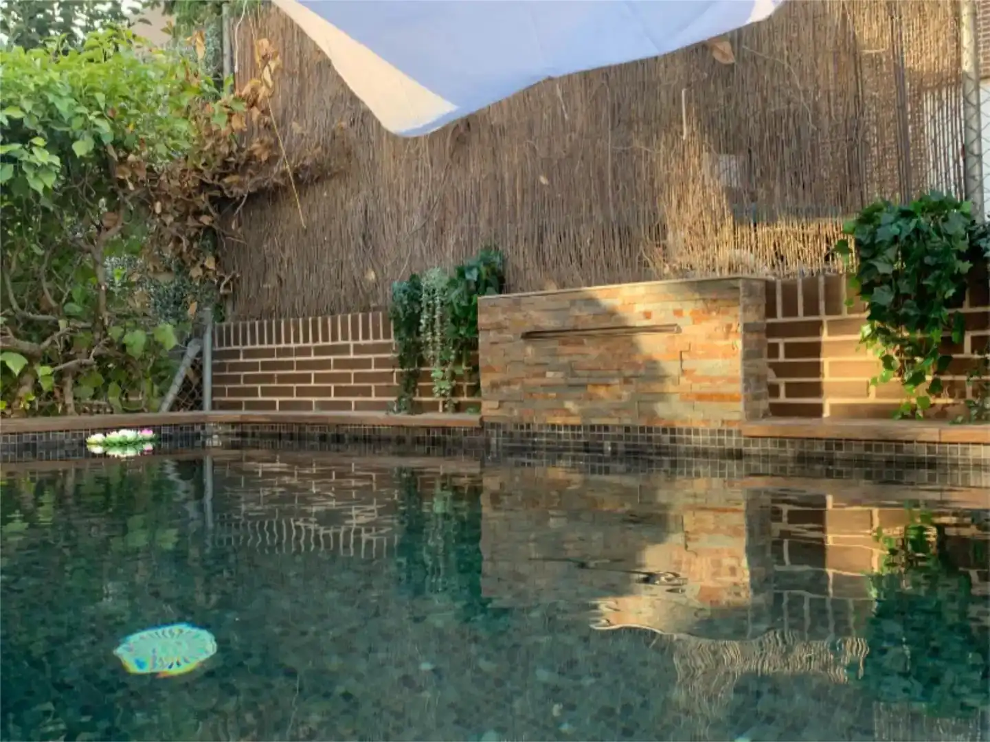 Piscina de Casa o xalet en venda en  Madrid Capital