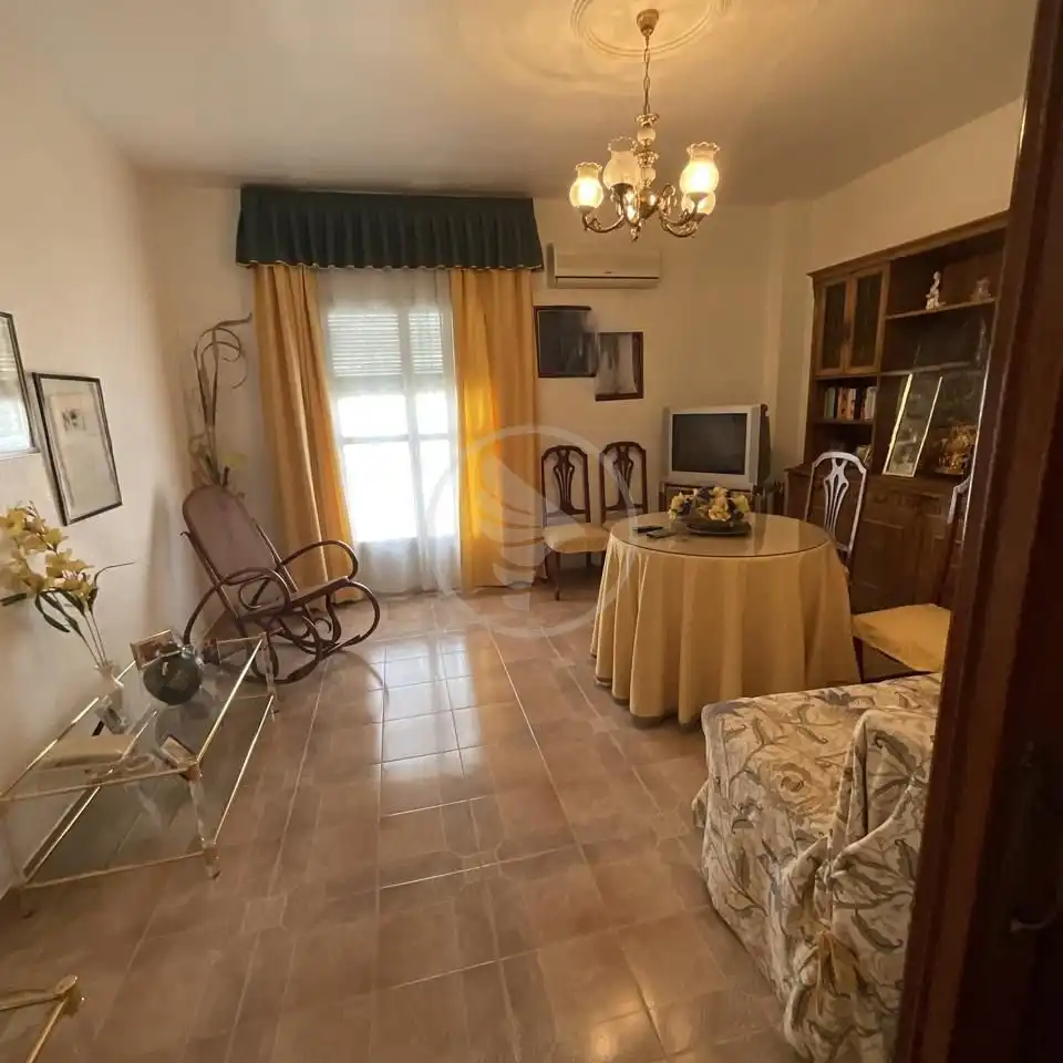 Sala d'estar de Casa o xalet en venda en Linares amb Aire condicionat i Terrassa