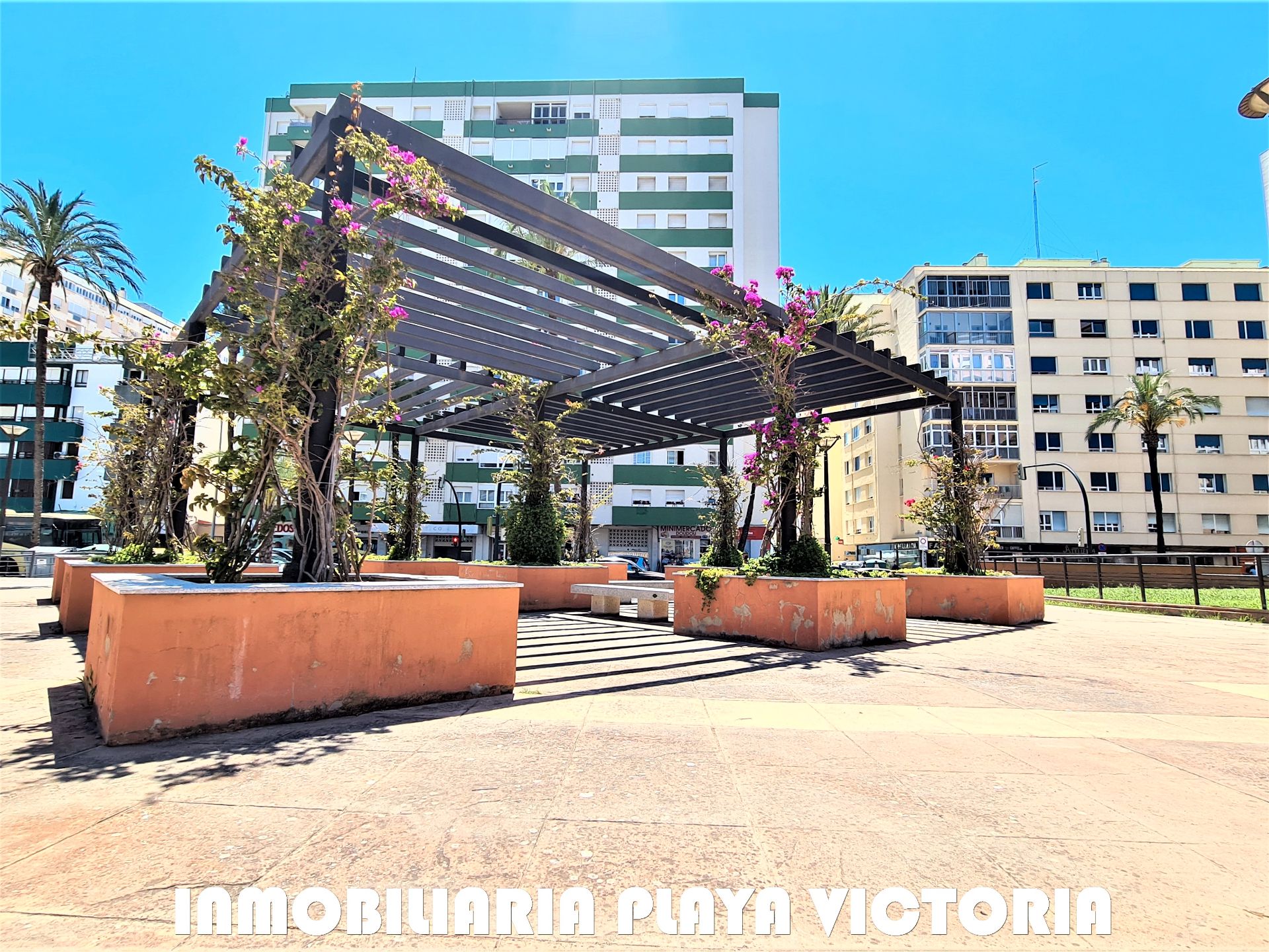 Exterior view of Flat to rent in  Cádiz Capital  with Furnished