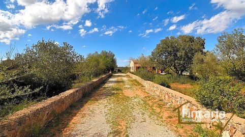 Photo 4 of Country homes for sale in Camí de Son Fangós, Manacor Centre, Manacor