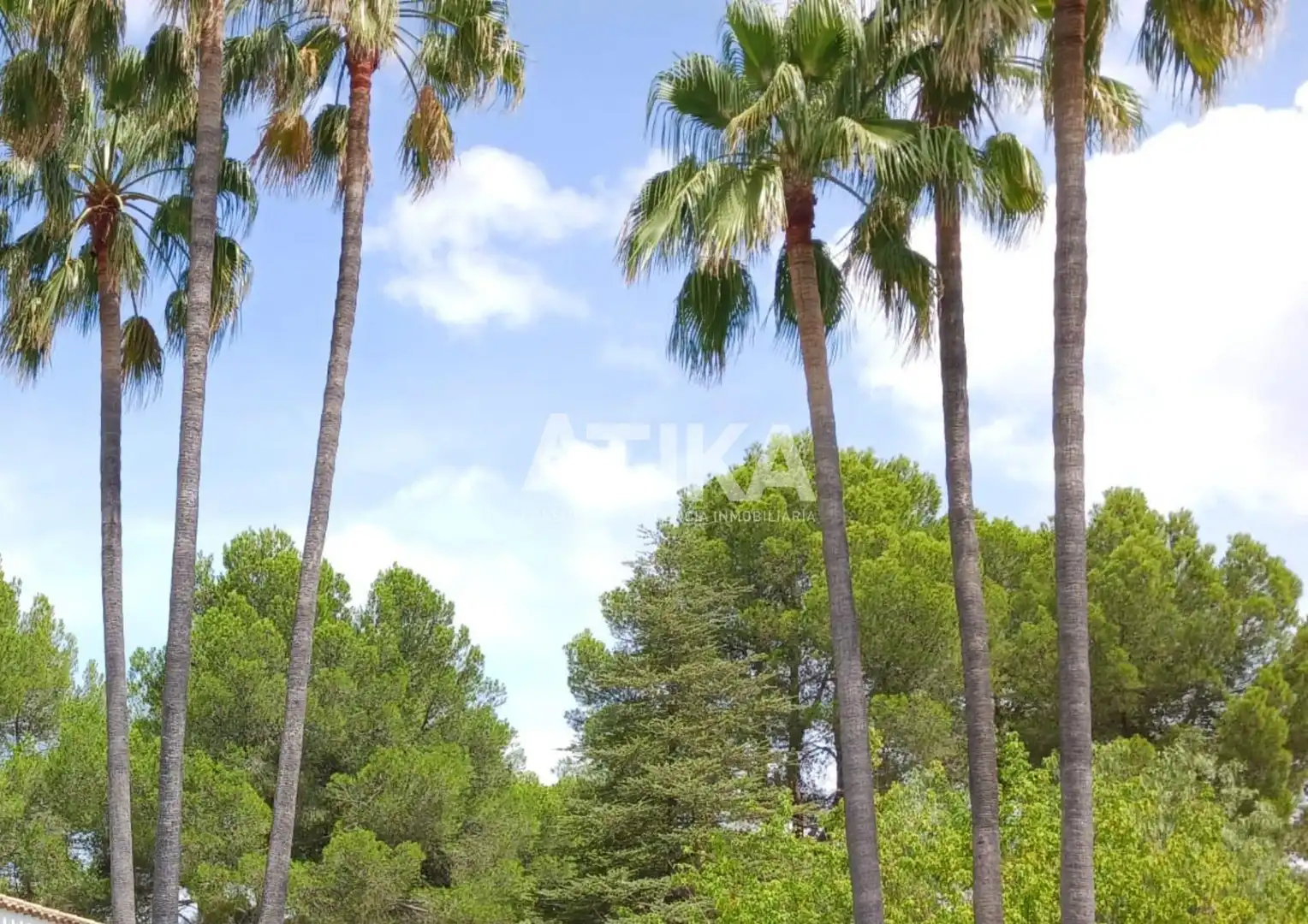 Vista exterior de Casa o xalet en venda en Ontinyent amb Aire condicionat, Calefacció i Jardí privat
