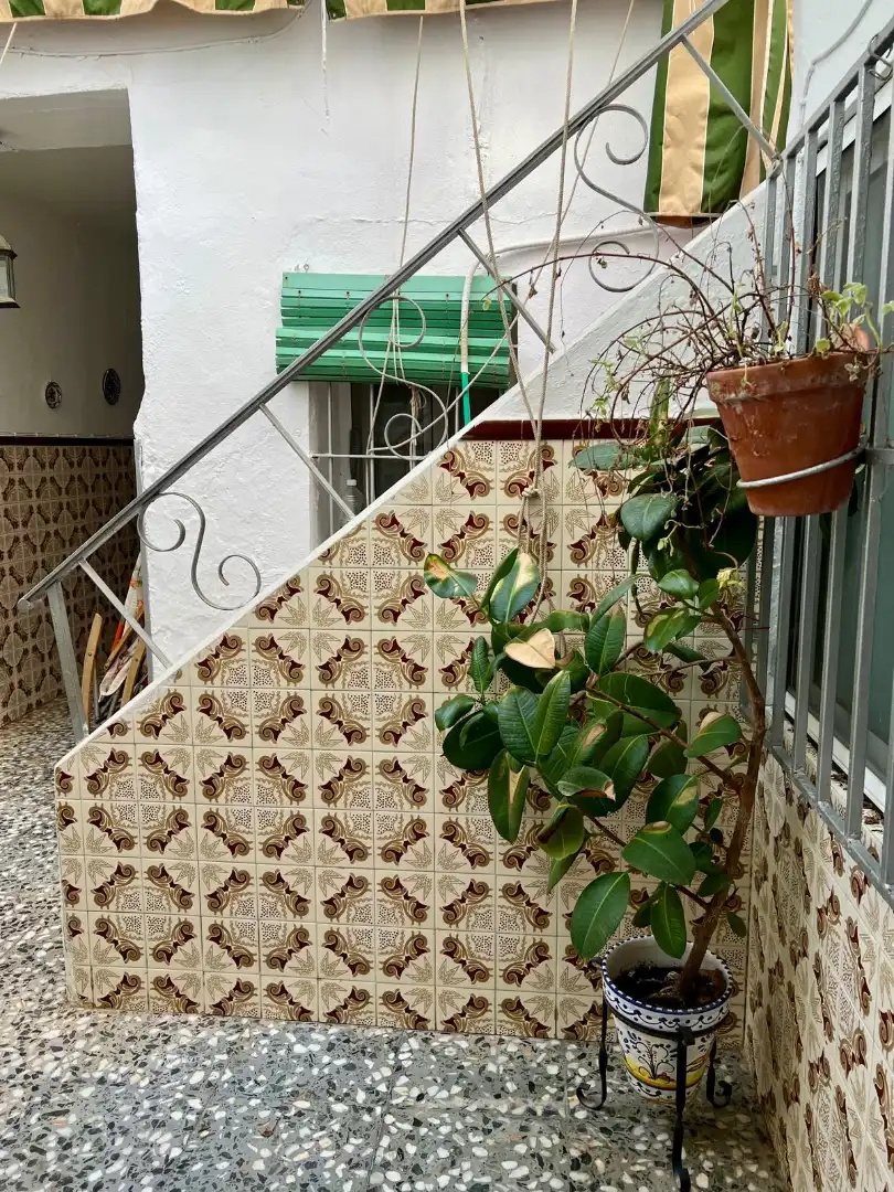 Casa amb terrassa en venda a Calle Fernandez de Santiago, imagen 26
