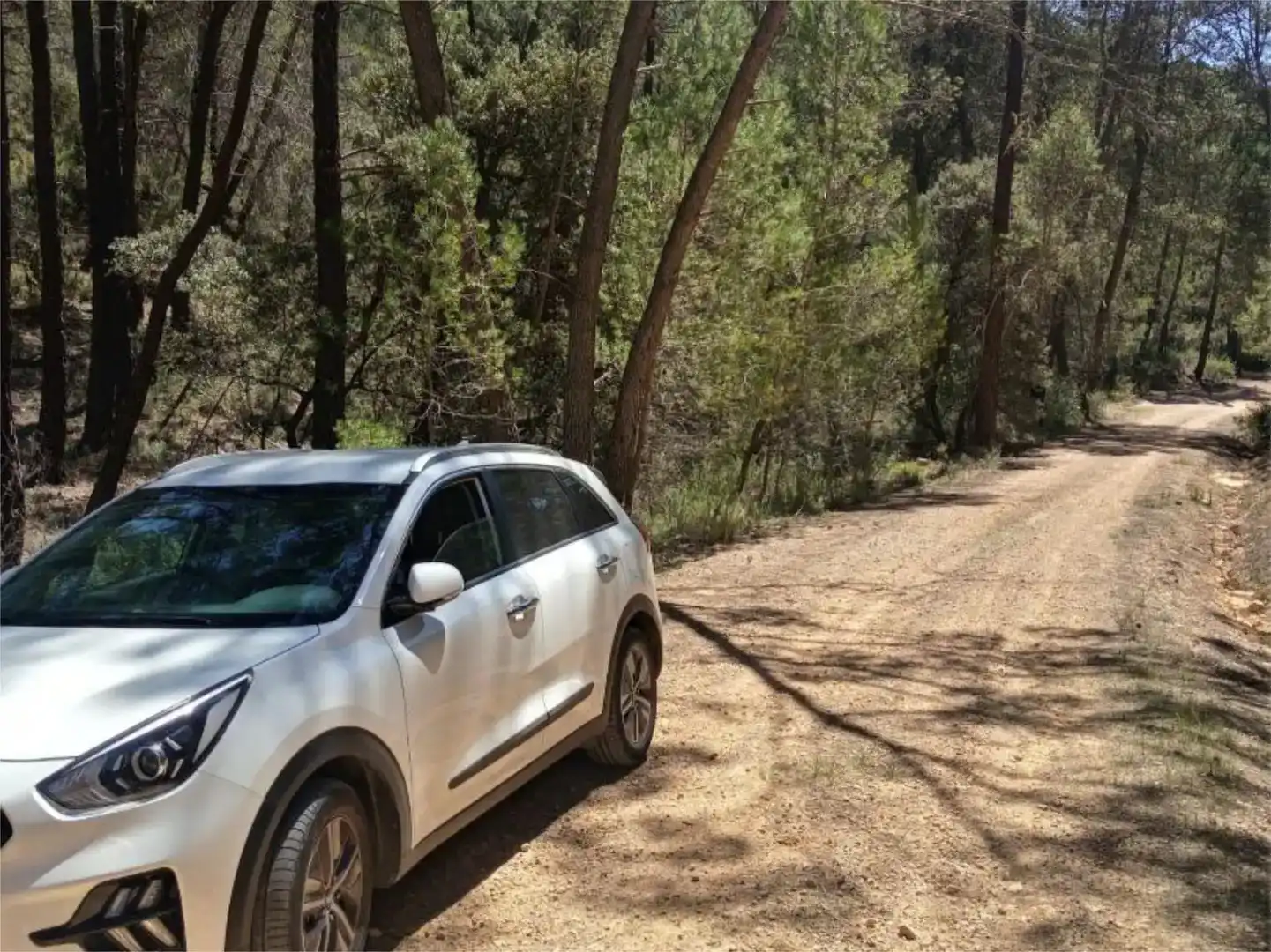 Parking de Terreno en venta en Alcantud, Cuenca