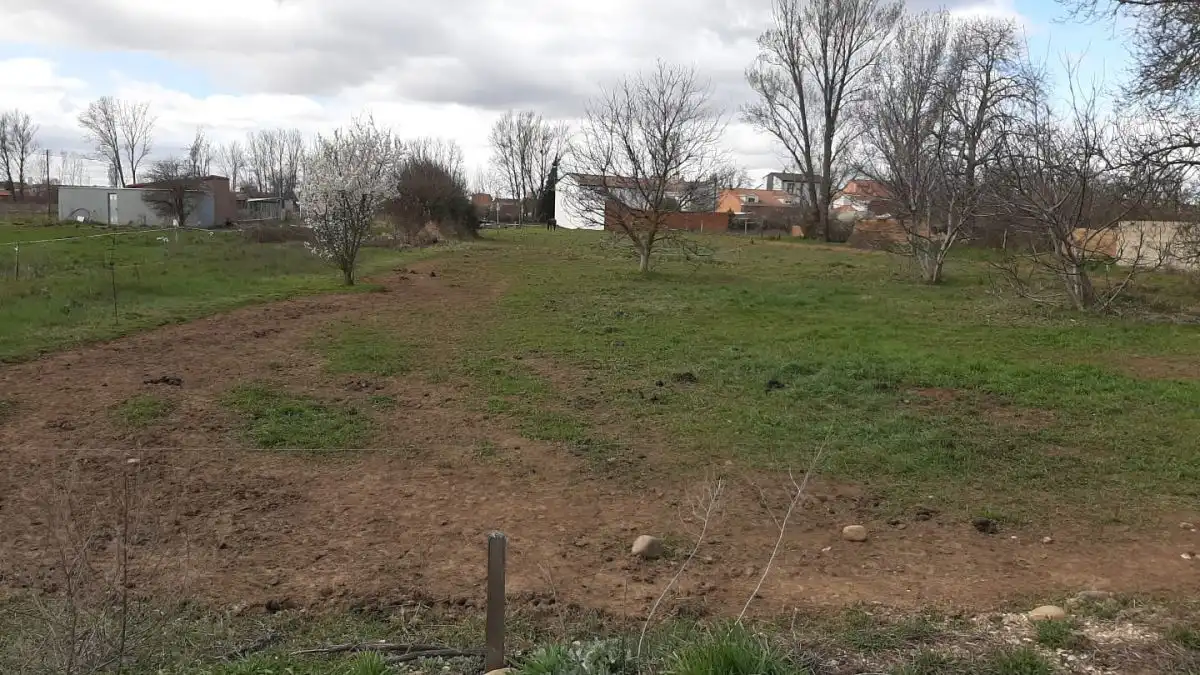 Terreni e lotti in vendita a Párroco Martin Gutiérrez, imagen 6