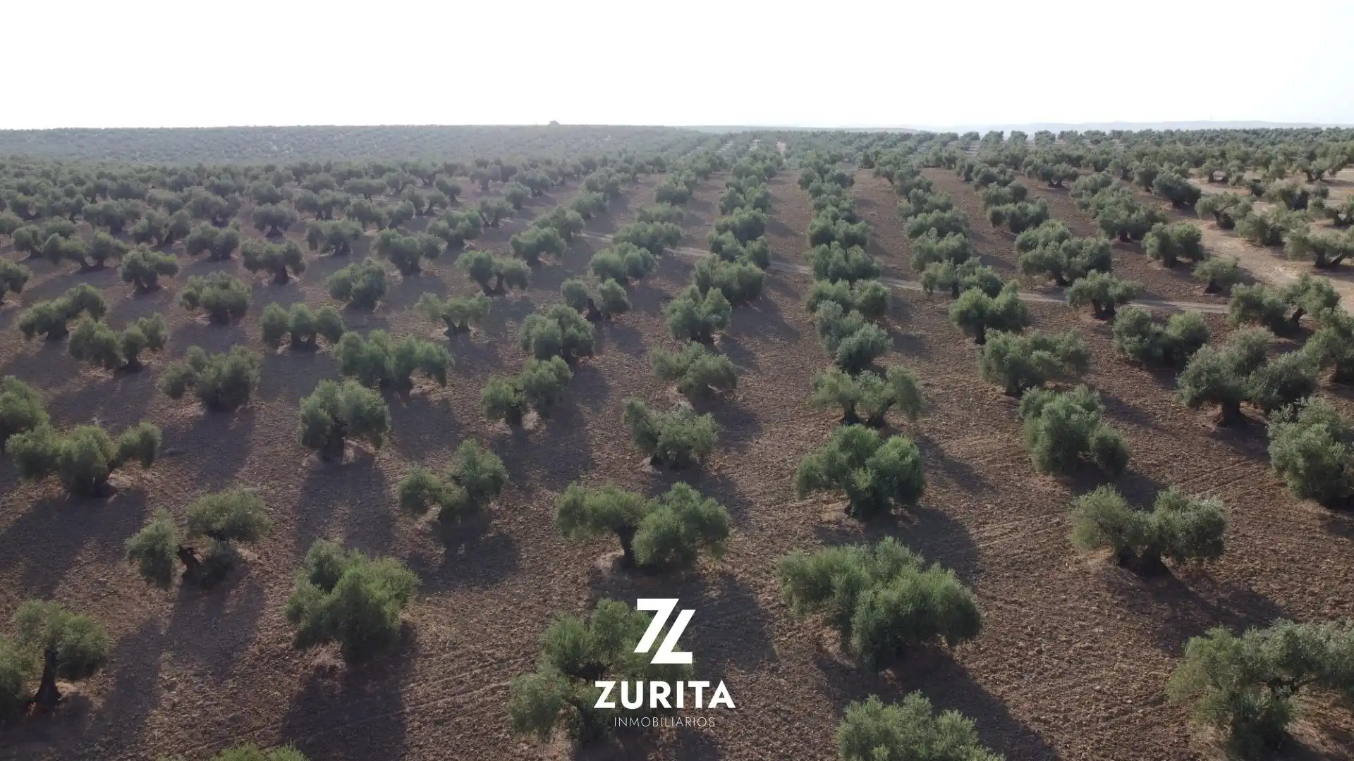 Rustikales Grundstück zum Verkauf in Montoro, imagen 7