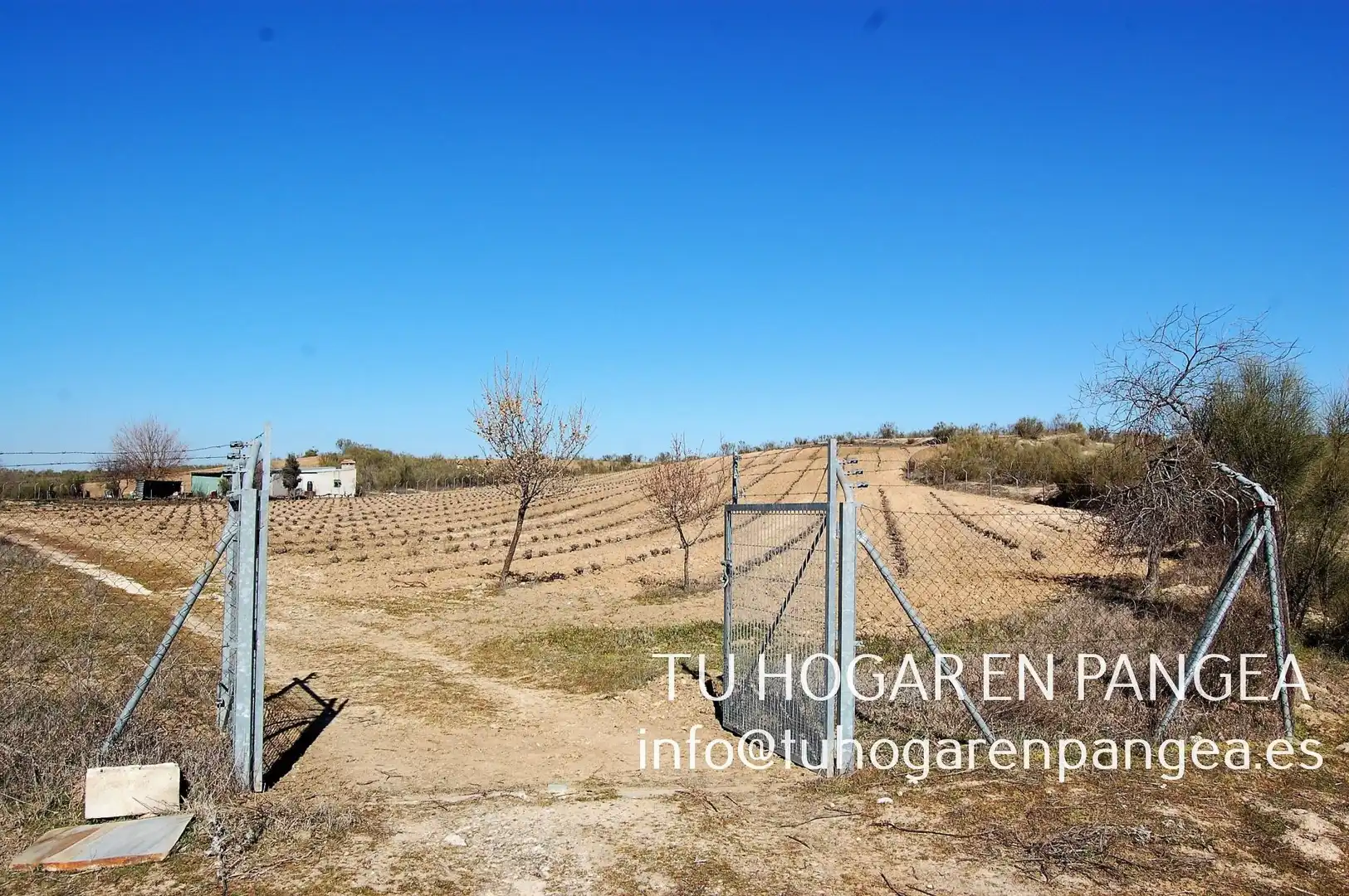 Rural land for sale in El Álamo, imagen 19