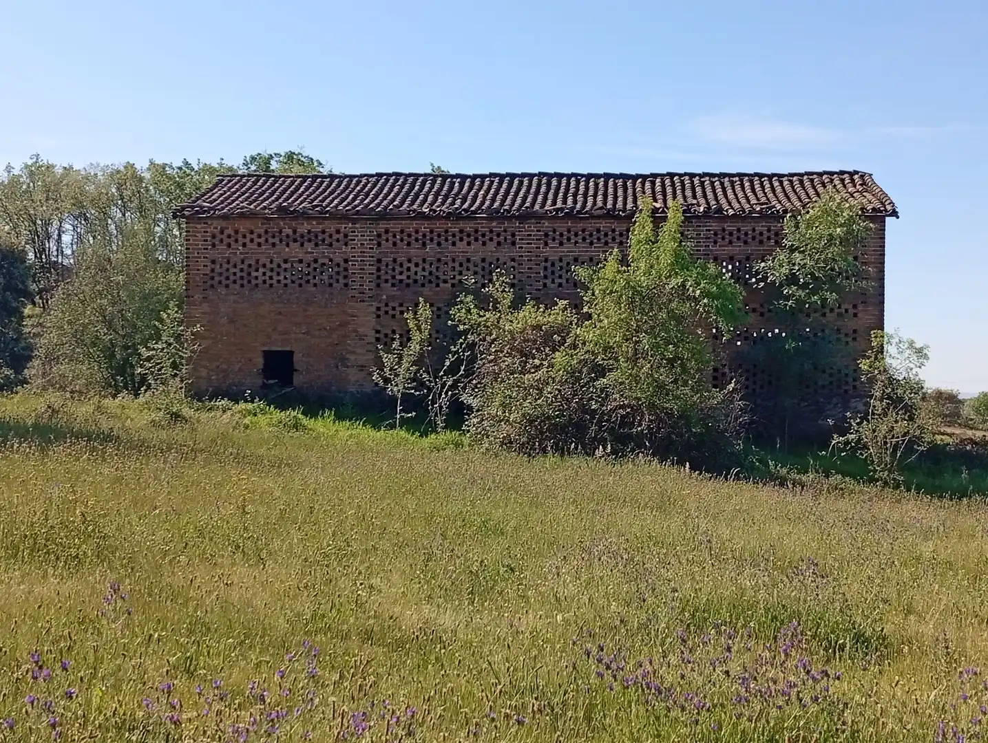 Terreni e lotti in vendita a Talaveruela de la Vera, imagen 79