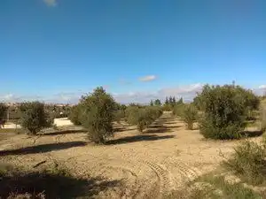 Rural land for sale in Camino Cerrillos, imagen 6