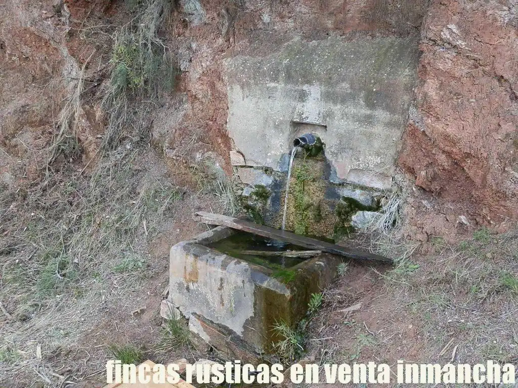 Rural land for sale in Requena, imagen 2