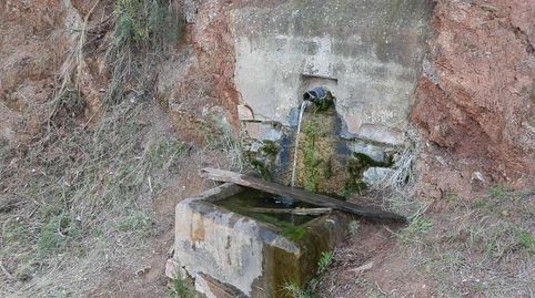 finca en venta caza mayor en Albacete, immagine 2