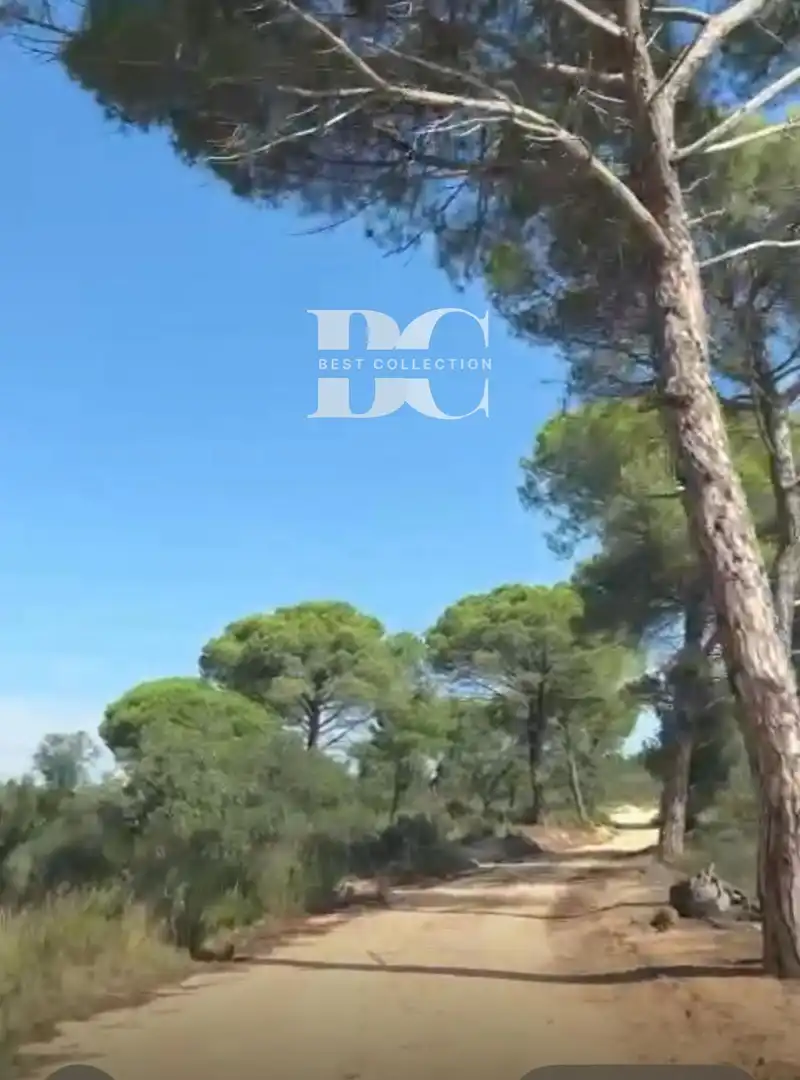 Rustikales Grundstück zum Verkauf in Poligono 2 Parcela 79 Can Miralbell, imagen 2