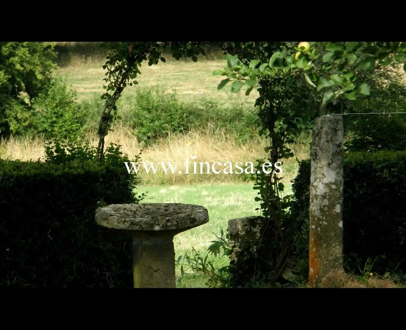 Jardín de Finca rústica en venta en Monterroso