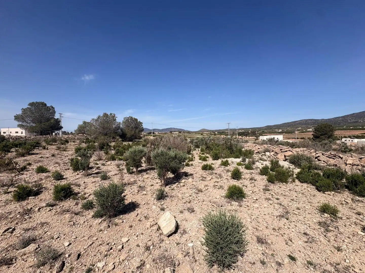 Terreno residencial en venta en El Pinós / Pinoso, imagen 7