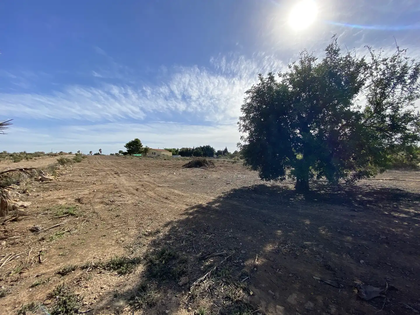 Land for sale in Elche / Elx