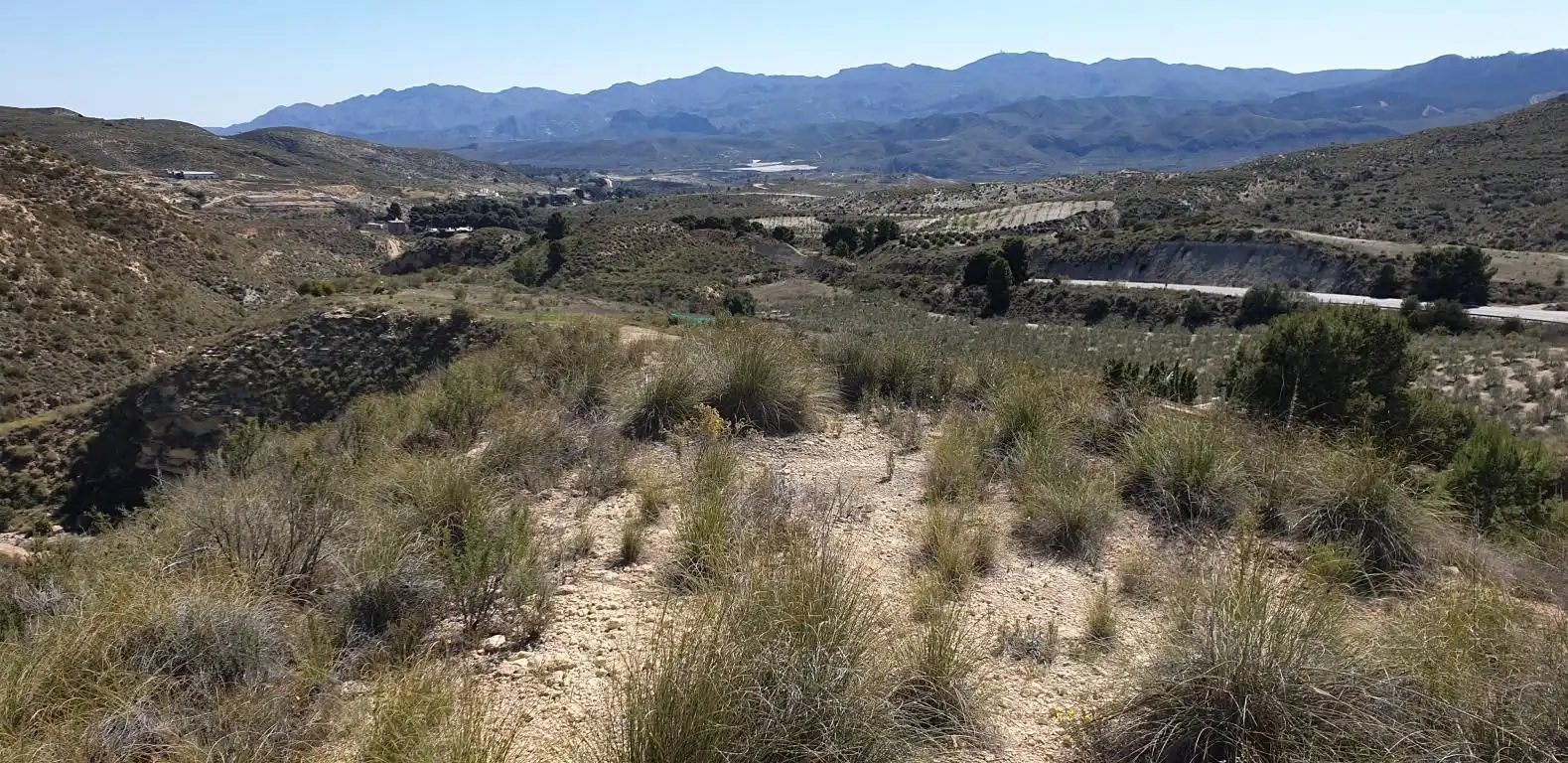 Terreno residencial en venta en Los Gallardos, imagen 2