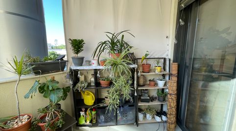 Foto 4 de Piso en venta en Avinguda del Baix Camp, 2, Casc Antic - Nou Cambrils, Cambrils