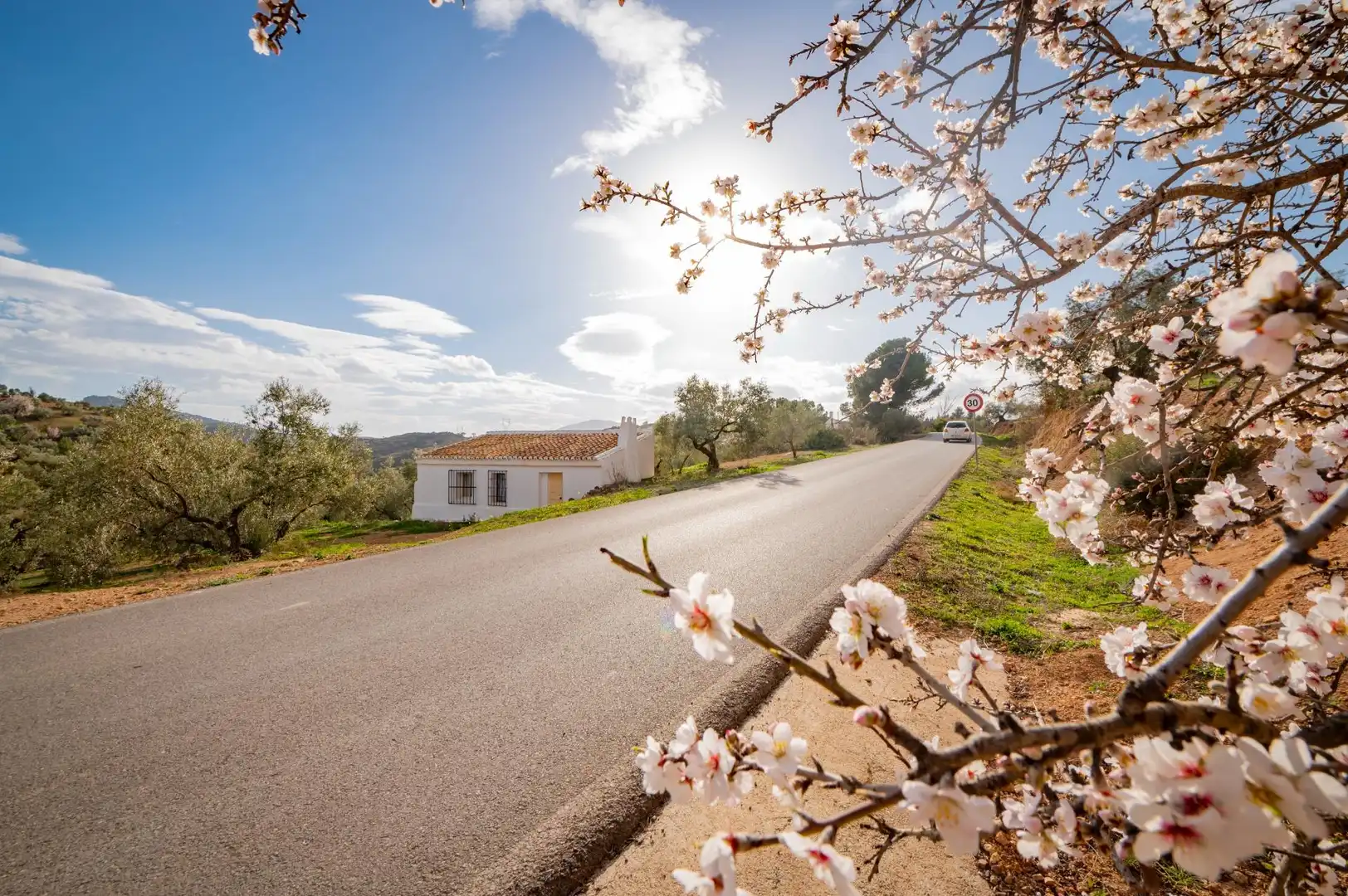 Vista exterior de Finca rústica en venta en Antequera