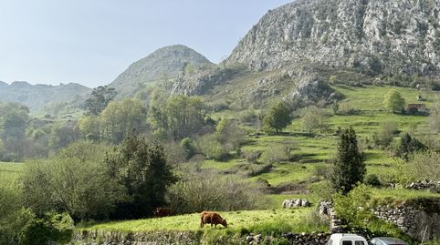 Photo 5 of Detached homes for sale in Cantolla la - Bo la Cantolla, 46, Miera, Cantabria