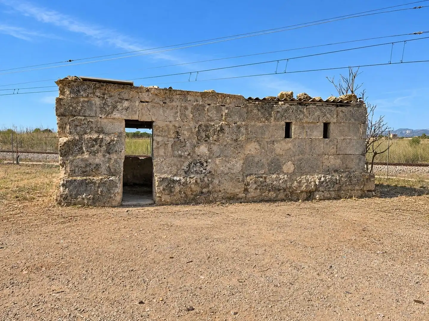Rural land for sale in Sa Pobla, imagen 9