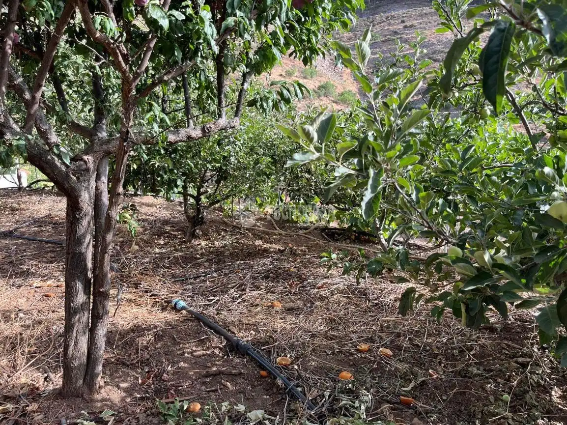 Casa o xalet en venda en Artenara