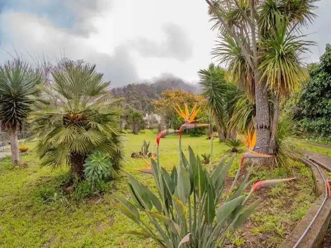 Garden of Flat for rent in La Orotava  with Private garden and Furnished